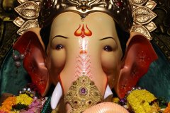 IMG_5450 IMG_5450